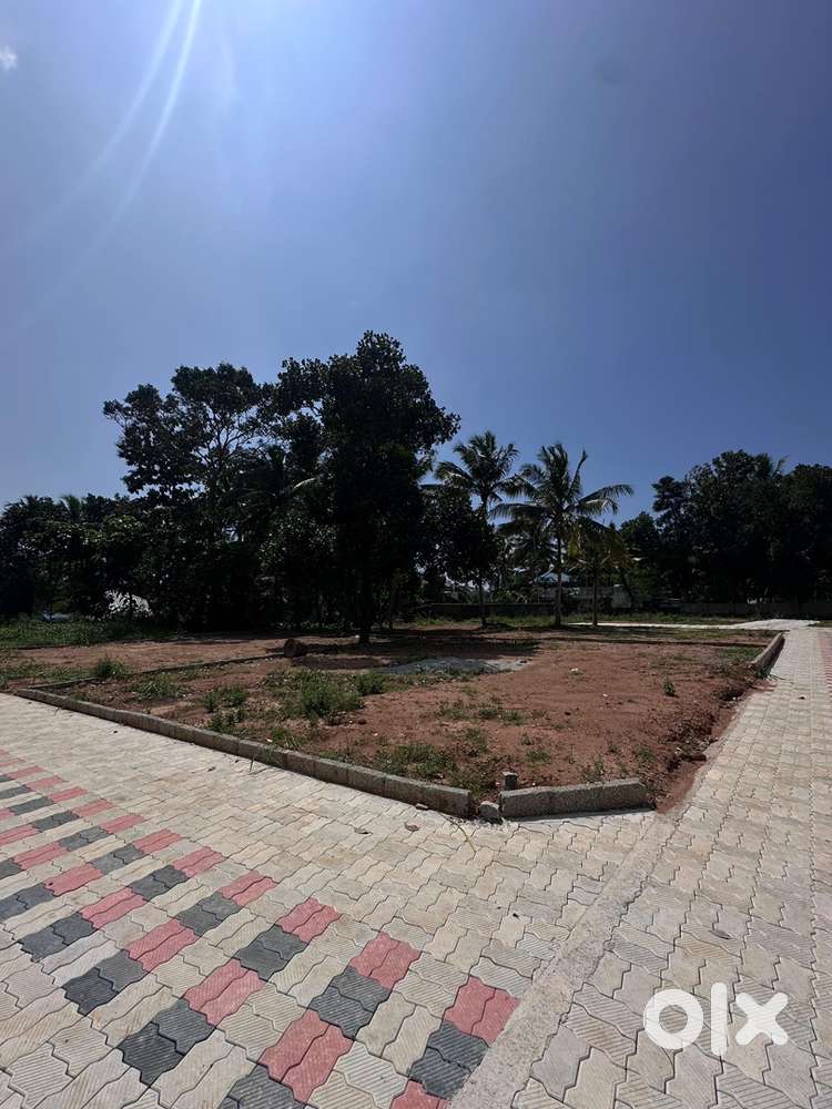 Land for sale in Venganoor- Near Venganoor Girls High School
