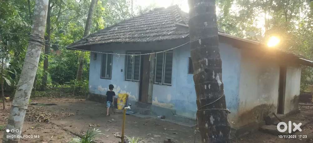 Selling house and plot