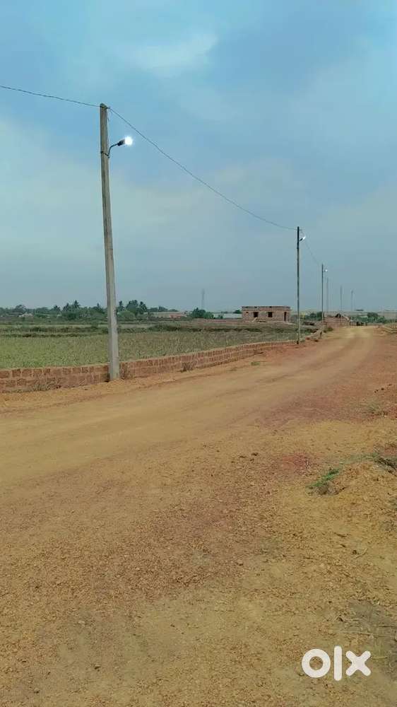 Bhubaneswar Pitapalli NH 16 to 200 mtr Distance Residential plot.