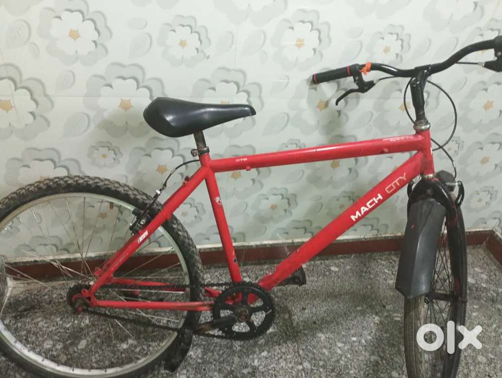 Best cycle