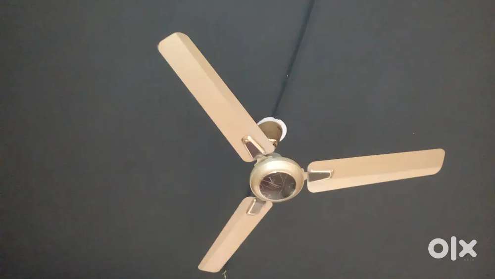 Celling FAN