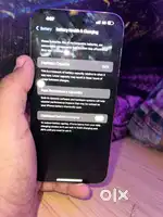 14 pro max