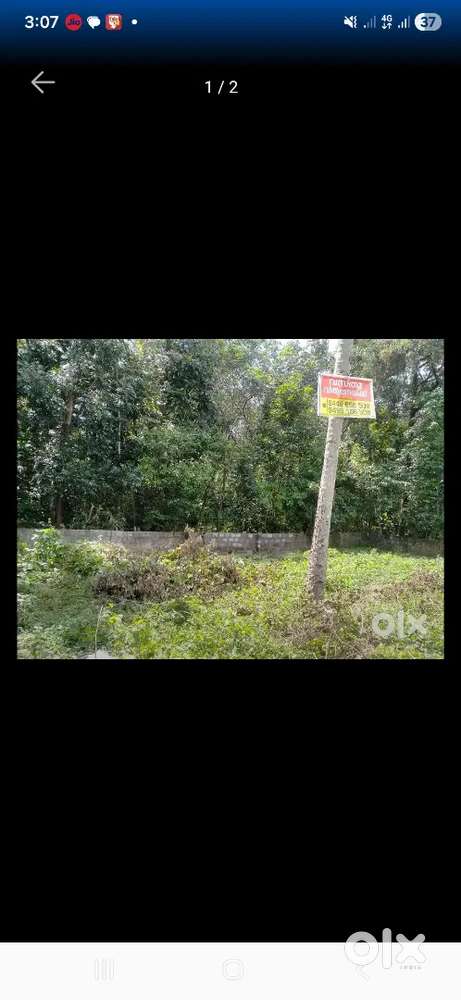 6 cent plot near Pullad junction, Kozhencherry