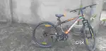 Leader double disc cycle