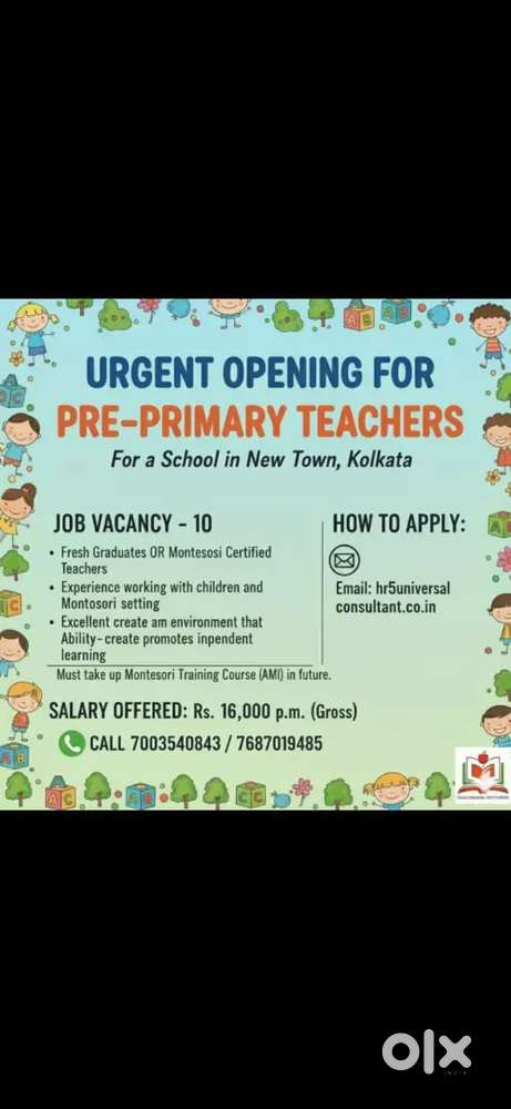 Primary Teacher