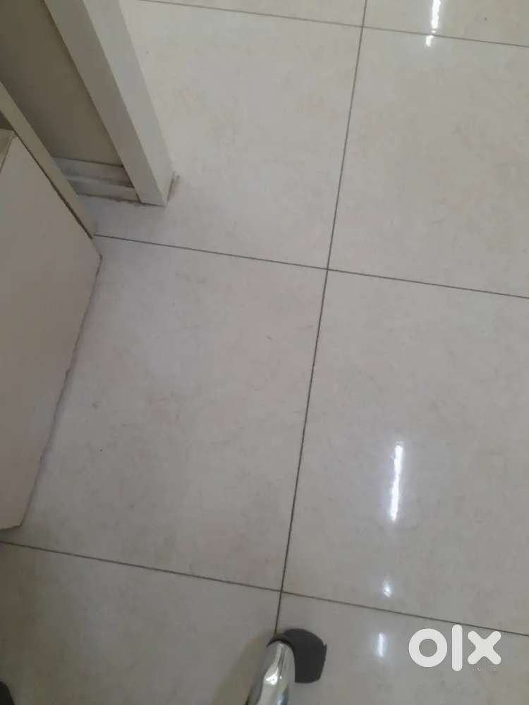 1bhk flat on rent