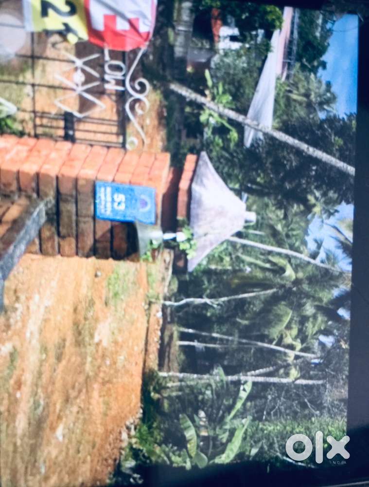 Commercial property Adoor