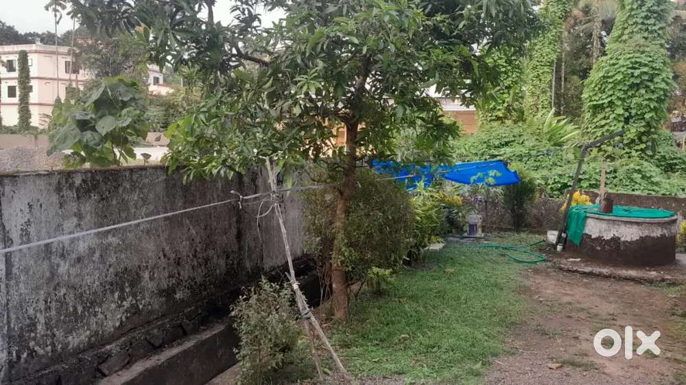 Urgent Sale: 7.5 Cent Land with House at Kadayiruppu, Kolenchery