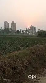 2 bigha krishi Bhumi police line mandavar road ke pass