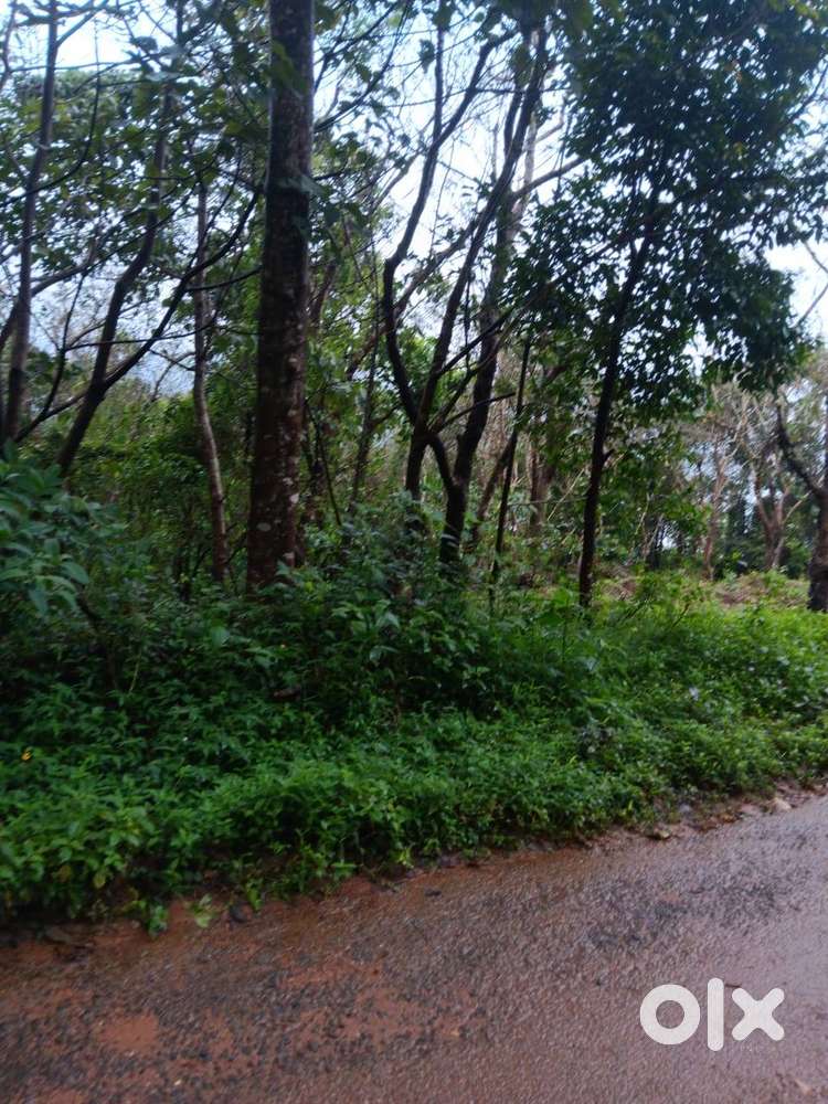 Plot for Sale in Sivapuram