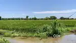 Agriculture land for sale