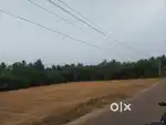 Land Urgent Sale