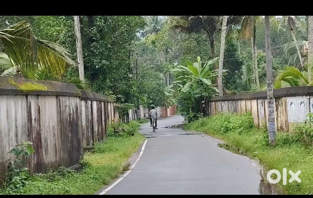 രാമപുരത്ത് 43 സെൻറ് പുരയിടം വിൽപ്പനയ്ക്ക്