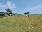 Low budget plots DTCP APPROVED 850/sqft