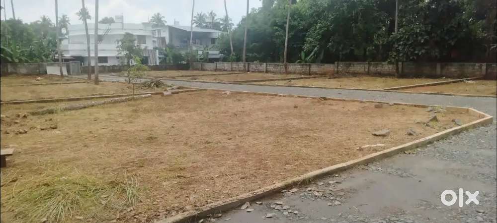 തൃശ്ശൂർ കല്ലൂരിൽ പ്ലോട്ടുകൾവില്പനയ്ക്ക്