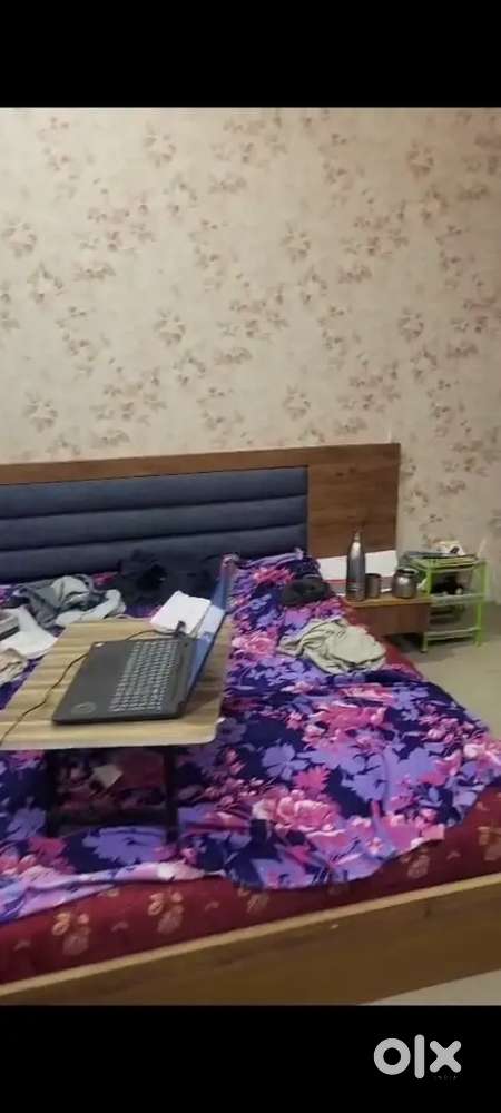 1Rk fully furnished flat