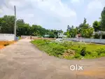 Alangad Aluva varappuzha Bus route house plot for sale per cent ₹3 lak
