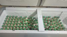 Milk delivered Job on morning 4.00a.m to 6.30a.m