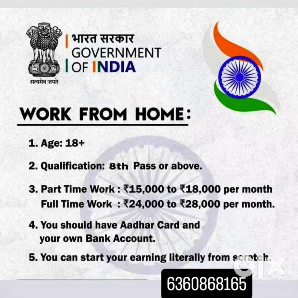 Work from home government project