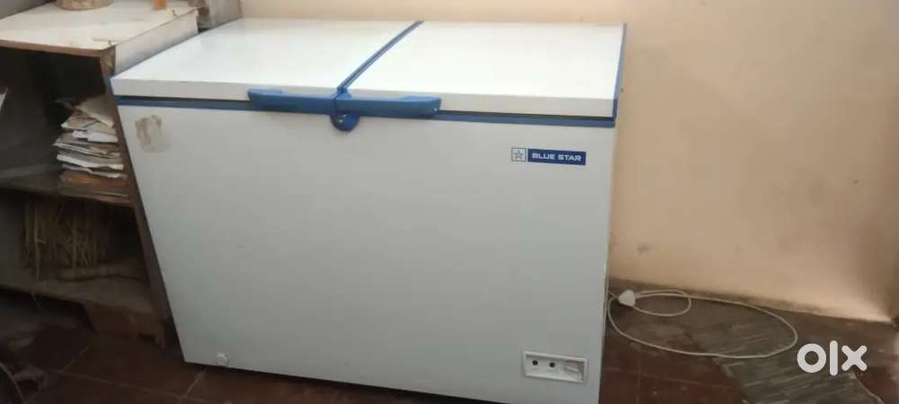285 ltr. BlueStar Deep Freezer Very Good Condition