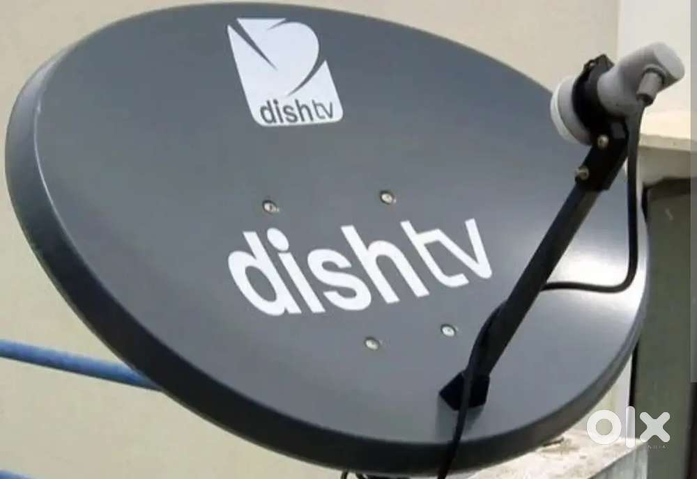 Dish Anteena for Sale