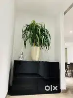 Brand New Storage Unit