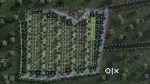 PRIME PLOTS FOR SALE ATTACHED TO HIGHWAY