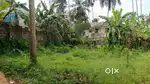 4 Cent Land Sale