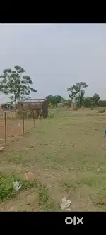 Colony  populated area