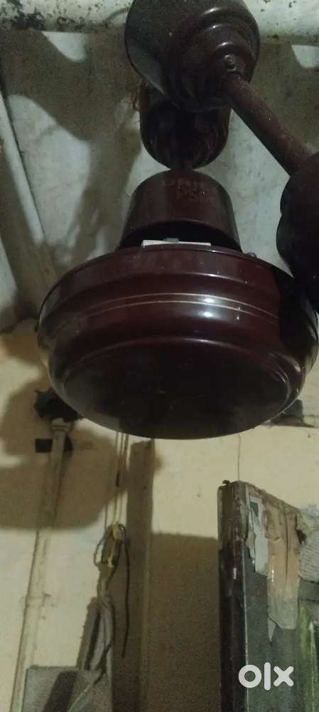 ORIENT ceiling fan  Rs800