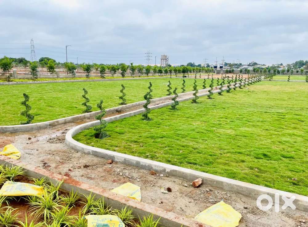 Clear title 100%sport registration