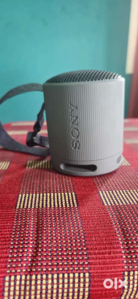 Sony portable speaker