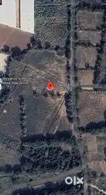 12000 yd. Plot for sell at ognaj