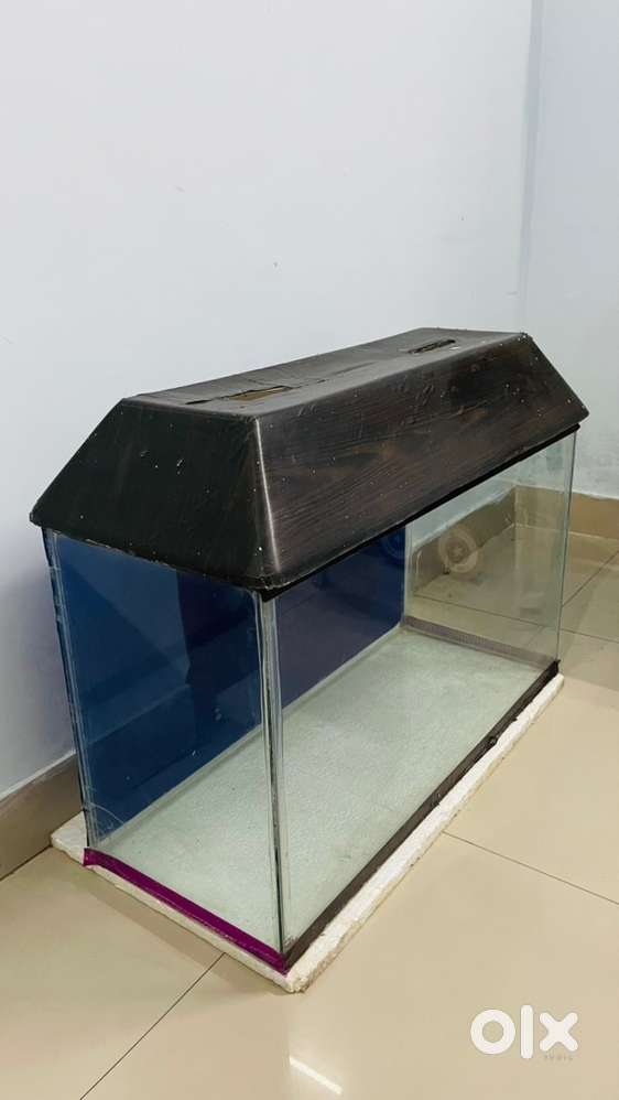 Aquarium Tank for Sale