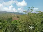HOUSE for Sale – 14.5 Cent Plot Near Vagamon Town