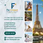 Flight ticket consultant