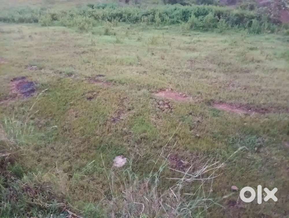 प्लॉट विकणे plot वाशी, राजवीर हायस्कूल च्या मागे गुंतवणूक साठी योग्य