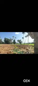50 cents of residential plot for sale at Edapally.