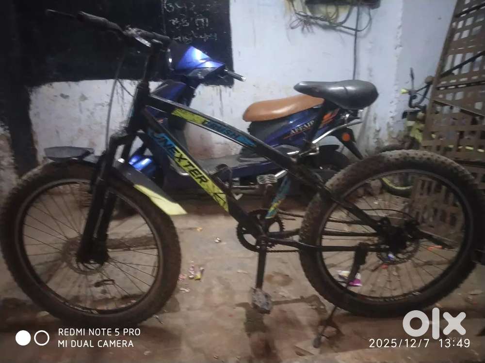 New Sports unexter crush