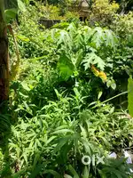 Plot for sale in Trivandrum