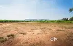 90 dismil obc tittle clear land for sale