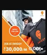 Delivery Boys wanted