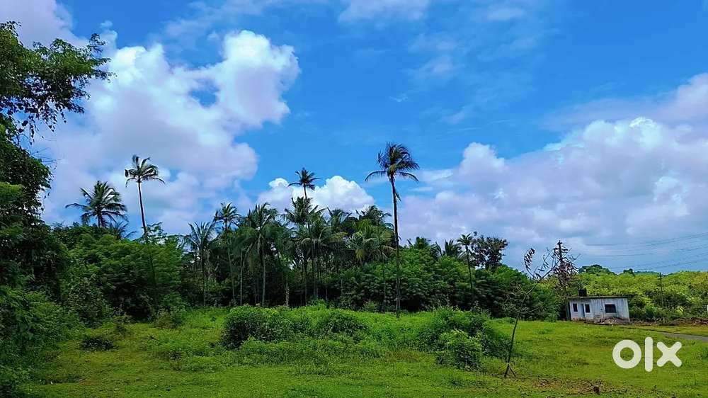 Looking for plot, main road touch