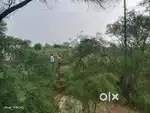 500 gaj ka plot hain mant panigaon road per
