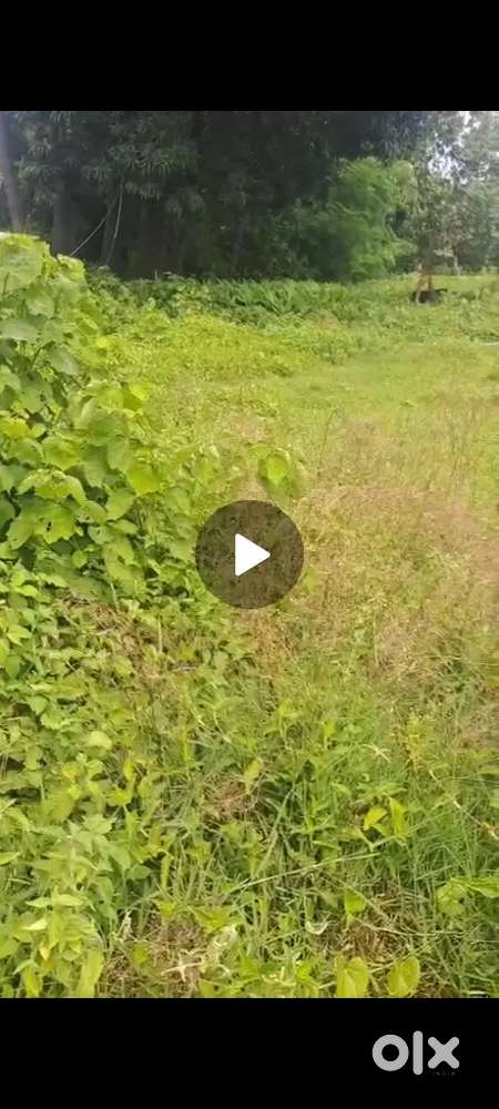 2.66dm hai. लंबाई दोनों साइड. 51 /51 fit है चौड़ाई 22/22 फिट hai