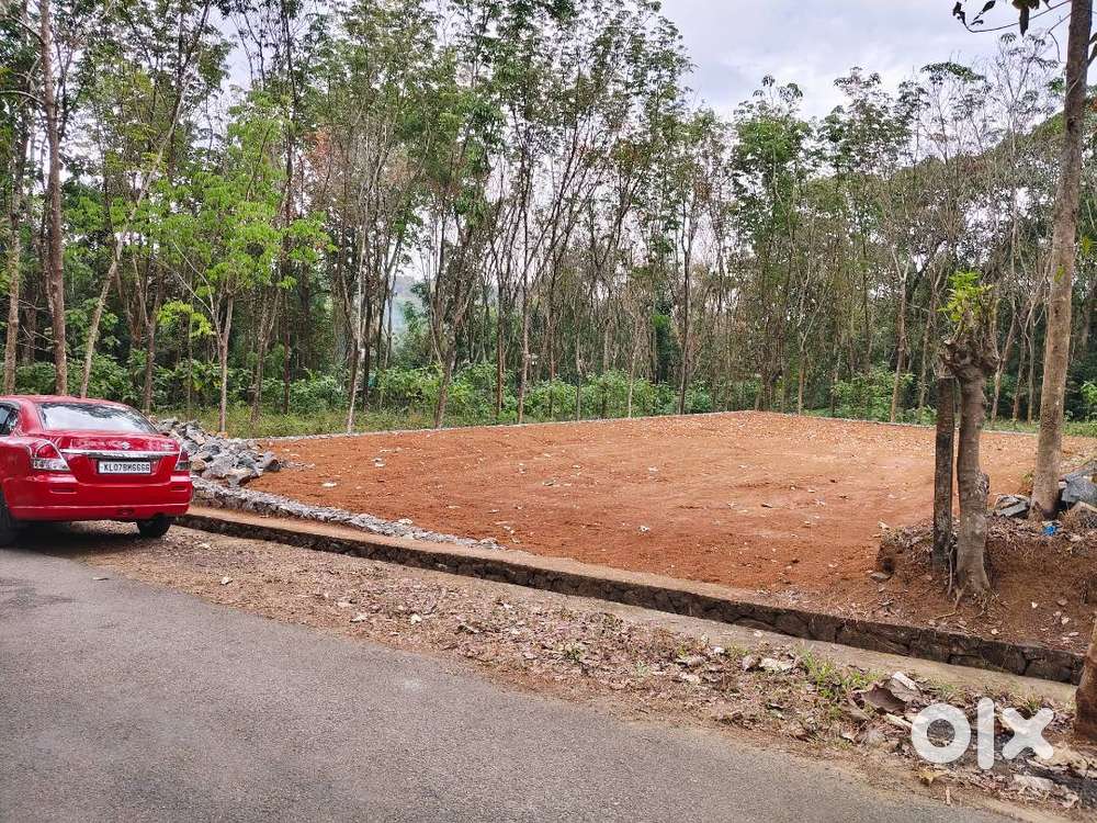 12.5 cent plot for sale in palissery with active KSEB connection.