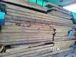 Cold room 3000CFT