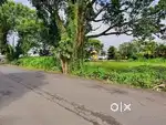 Commercial land for sale