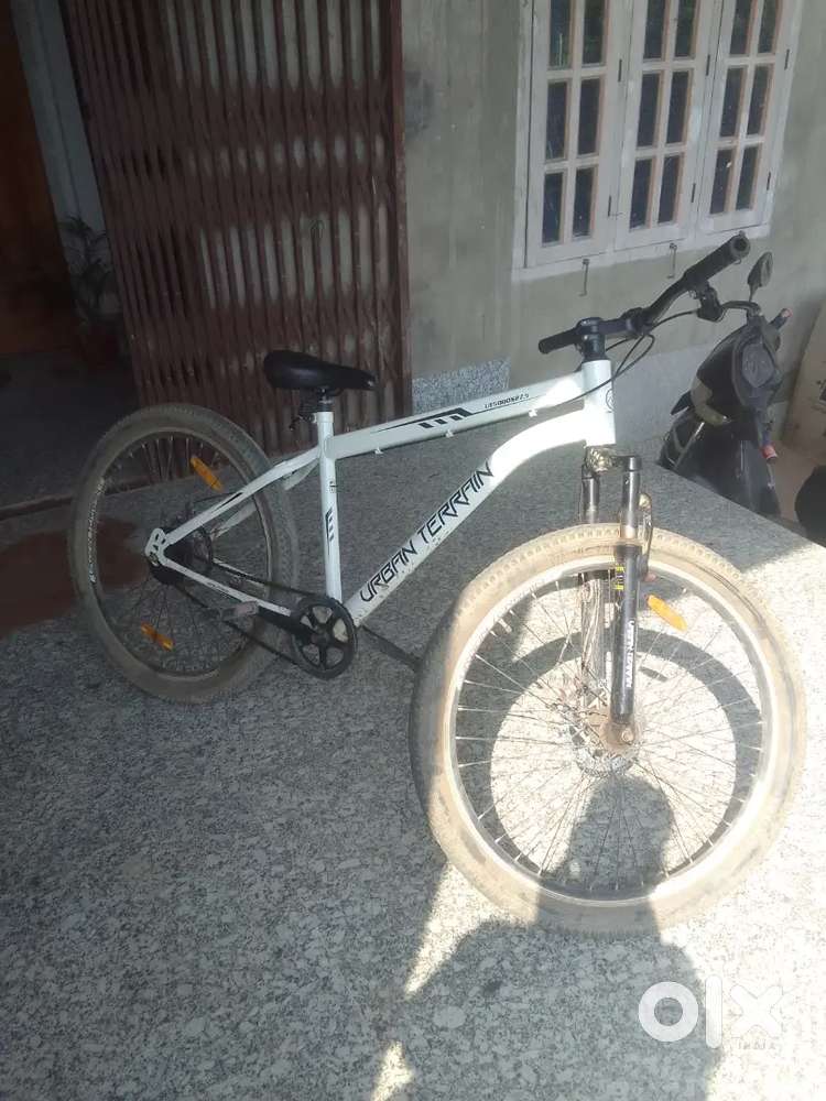 I have ridden this cycle for just one year.