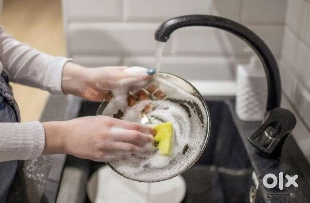 Dishwasher Bartan washing ( ut boy)